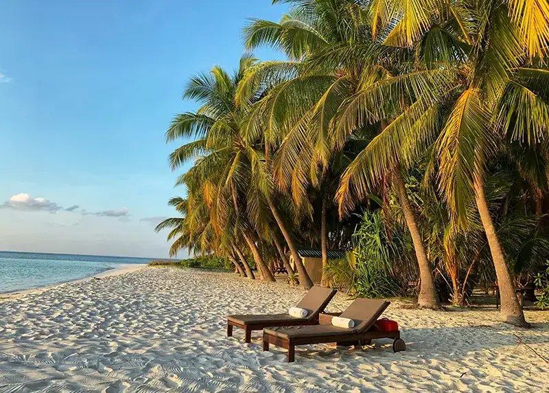 Sonderurlaub für Hochzeit: Regelung in Bayern