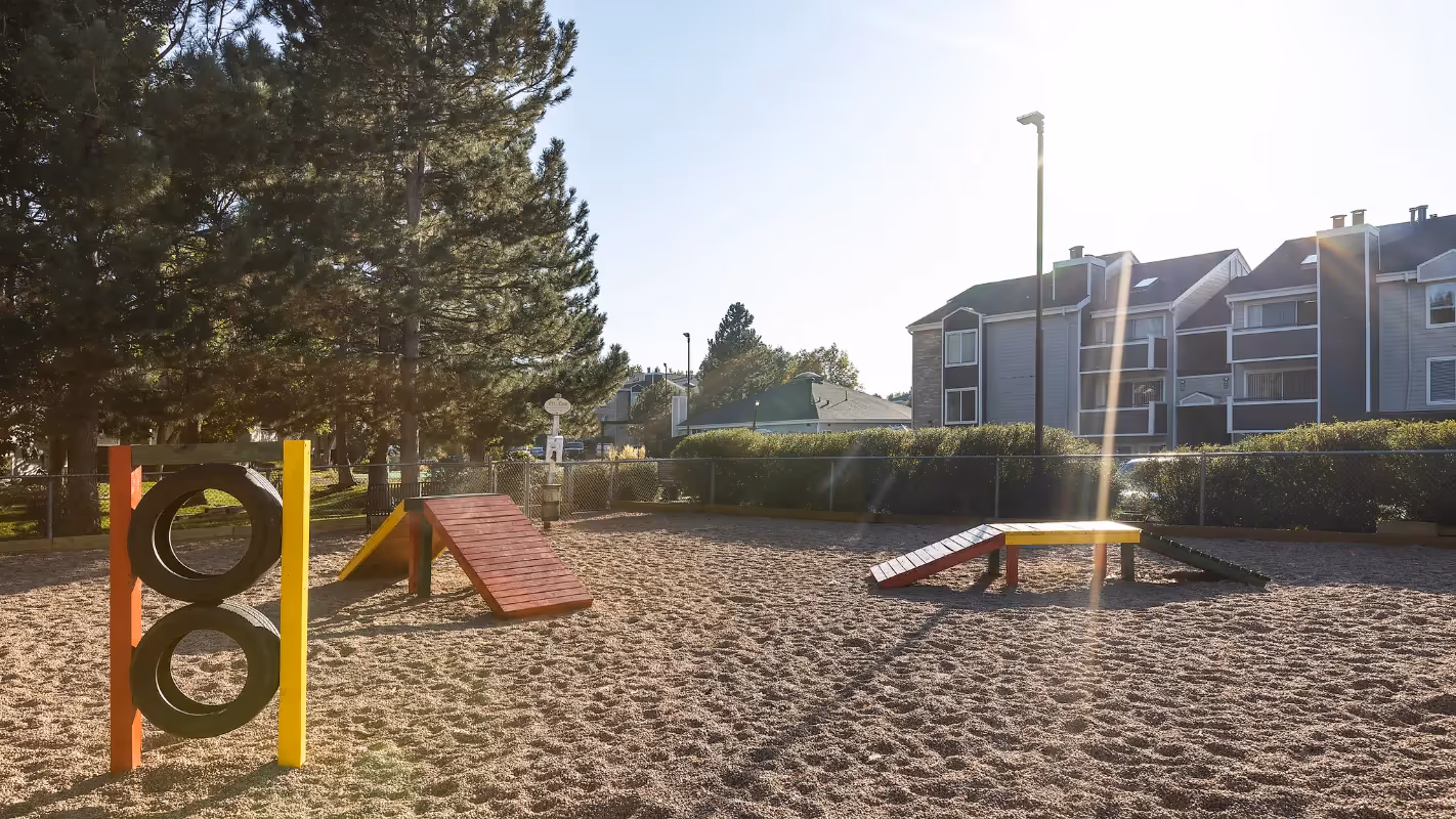 dog park