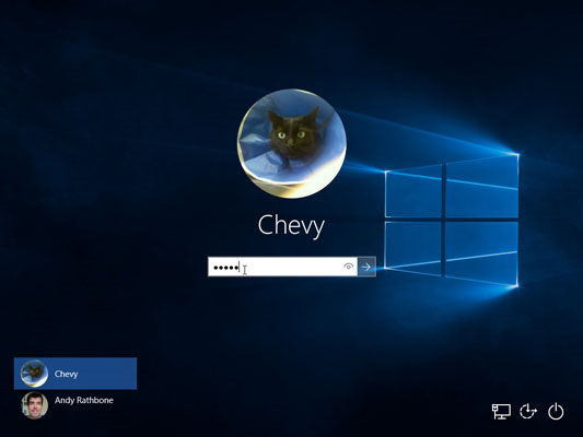 Windows 10 log in screen