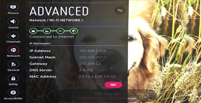 Advanced Network Settings screen.