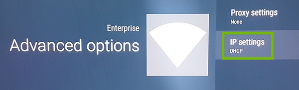 Advanced options with IP settings highlighted.