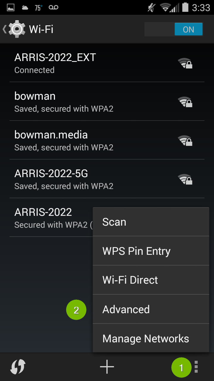 Advanced Wi-Fi Settings. Screenshot