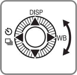 Camera control wheel