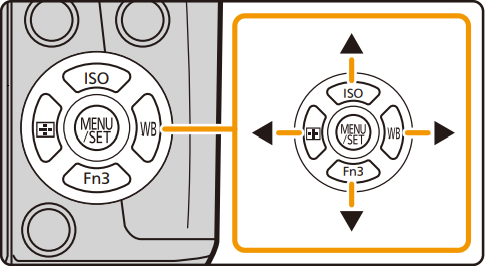 Camera directional buttons