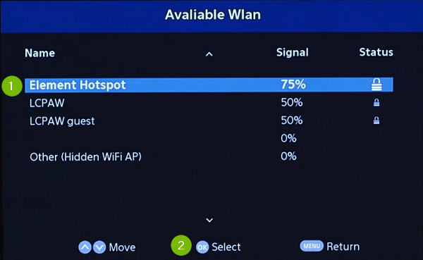 Wi-Fi Networks. Screenshot