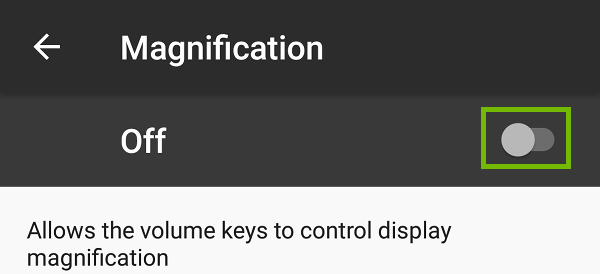 Magnification with toggle highlighted.