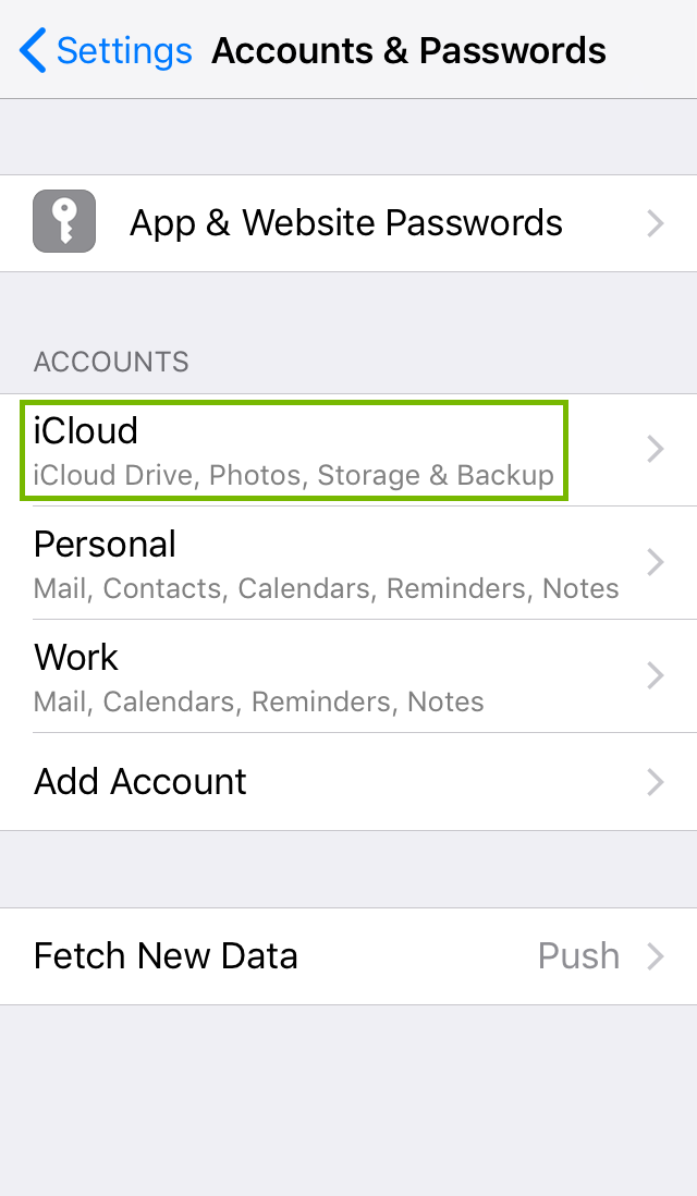 Accounts and Passwords with iCloud account selected. Screenshot.