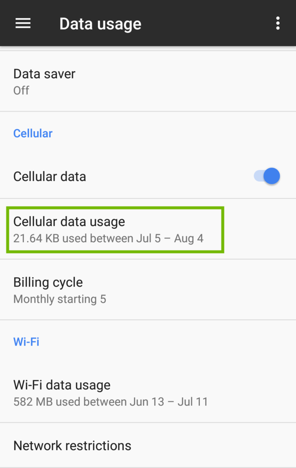 Data usage with Cellular Data usage highlighted.