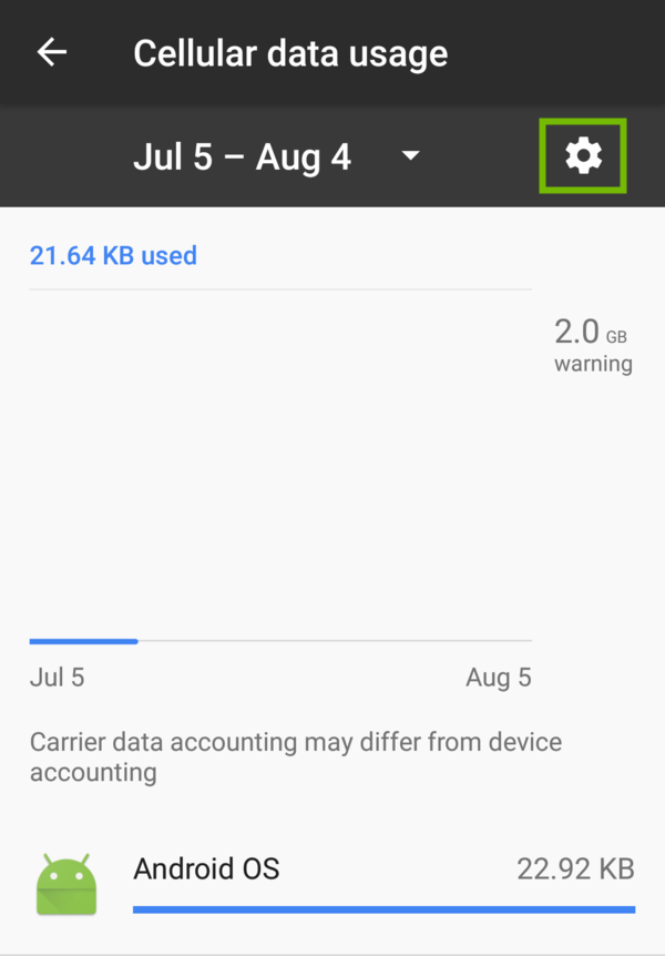 Cellular data usage settings with settings gear highlighted.