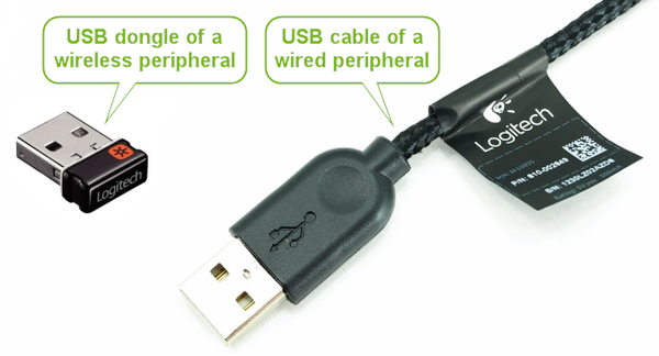 USB dongle and USB cable.