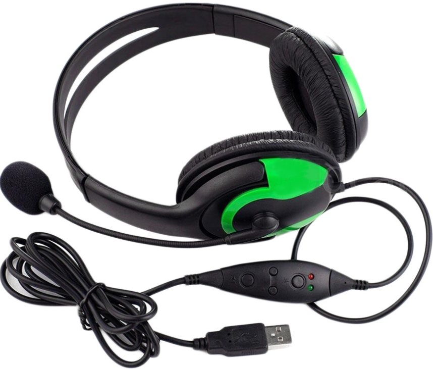 Generic set of headphones with USB cable.