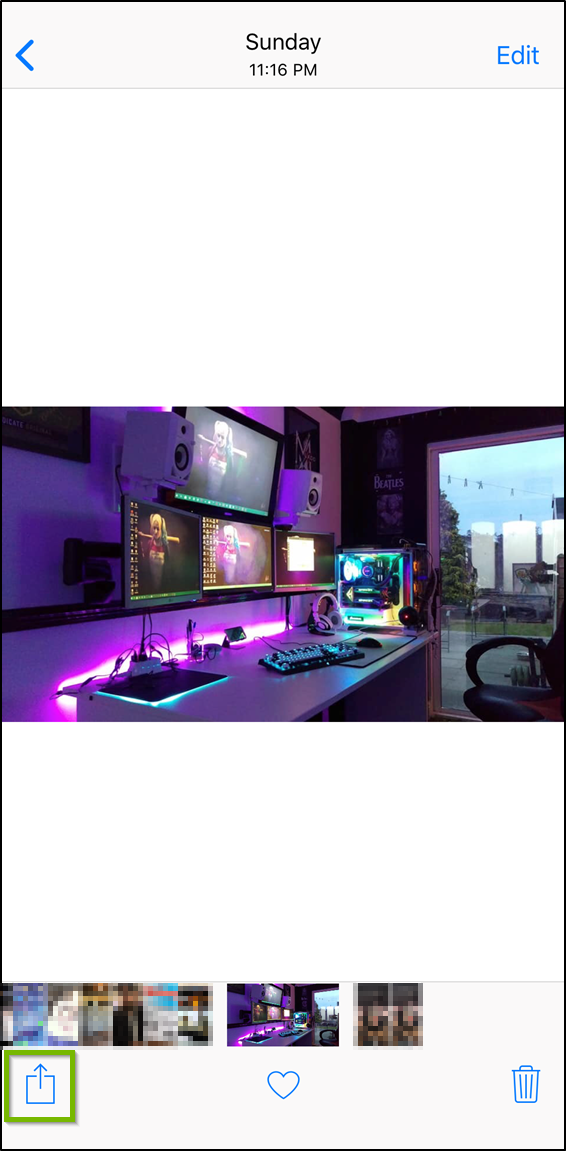 iOS photos app viewing a photo with the share button highlighted.