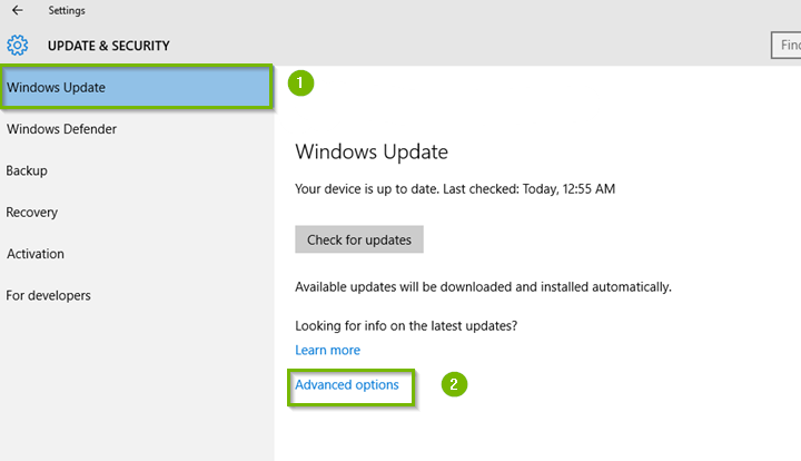 Windows 10 update and security screen highlighting advanced options.