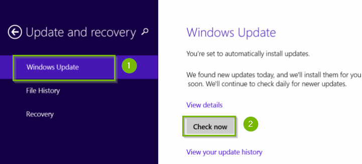 Windows 8.1 update and recovery menu with Windows update and check now highlighted