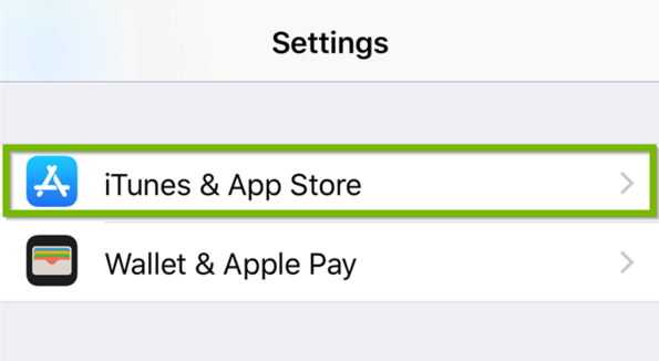 Settings with iTunes and App Store highlighted.