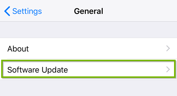 iOS general settings menu highlighting software update.