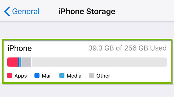 Storage with general storage information highlighted.