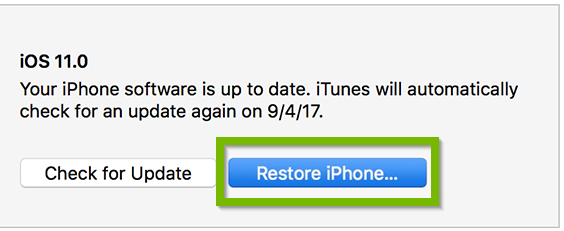 Example of Restore iPhone button selected. Screenshot.