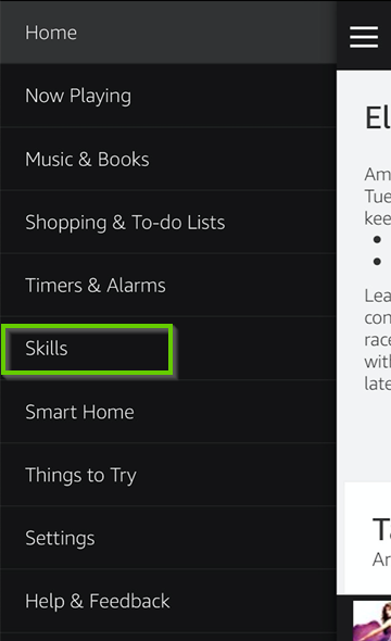 Amazon Alexa menu showing skills selection