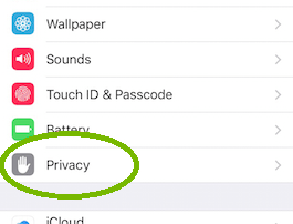 iOS Settings Menu with Privacy Highlighted.