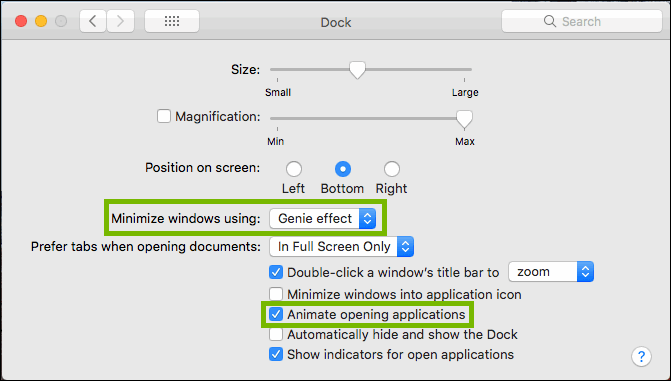 dock preferences with minimize windows using and animate opening options highlighted