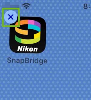 SnapBridge delete icon highlighted.