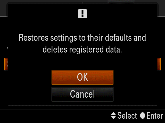 Camera screen with reset confirmation query