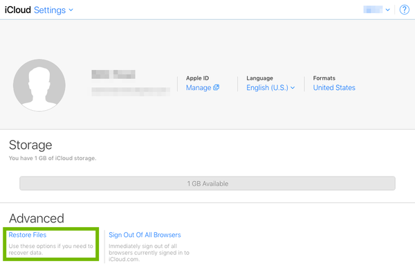 iCloud settings with Restore Files highlighted.