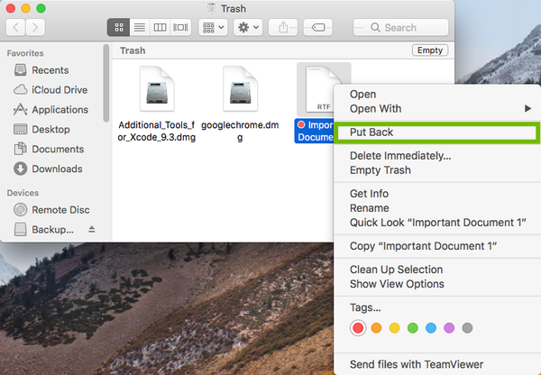 Context menu on file with Put Back highlighted.