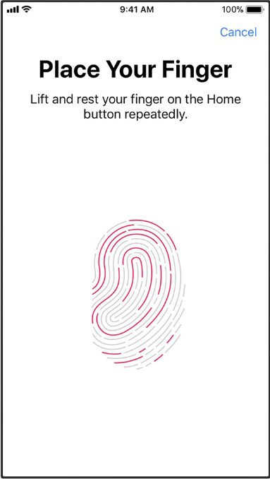 iOS touch ID