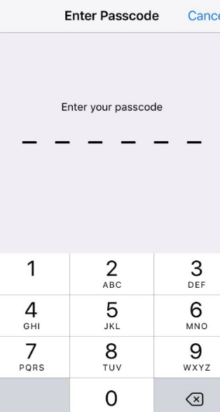 iOS enter passcode page