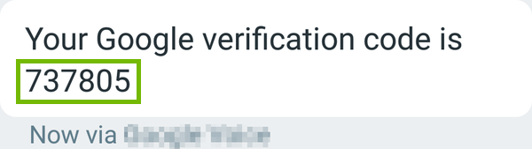 Google Text Message with code highlighted.