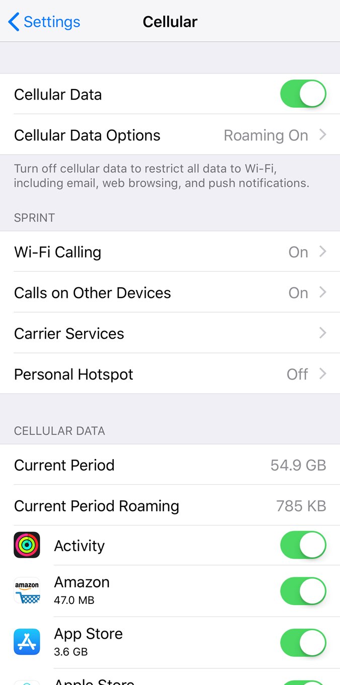 iOS Cellular settings screen.