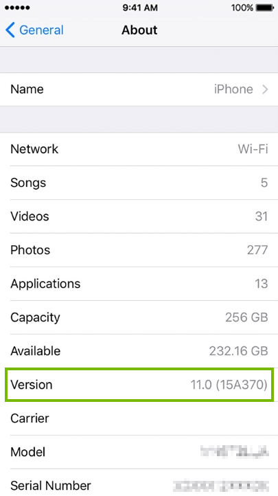 Version highlighted on About screen.