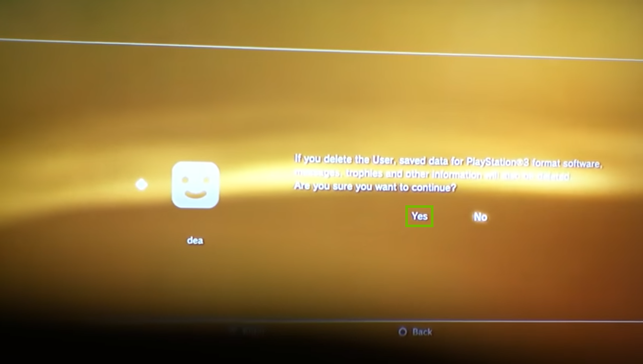 Delete user confirmation screen with Yes selected. Screenshot.
