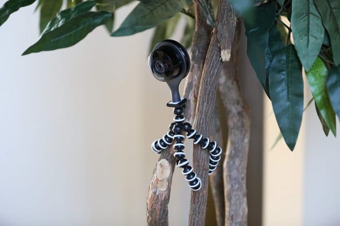 Nest camera.