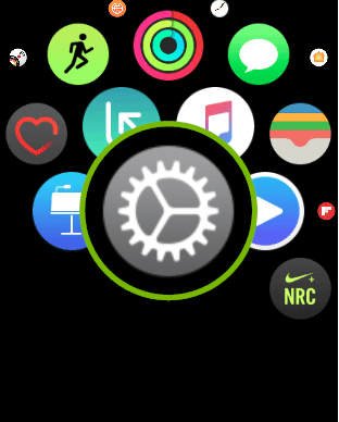 Apple watch settings app icon.