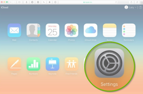 iCloud home page with the settings icon highlighted.