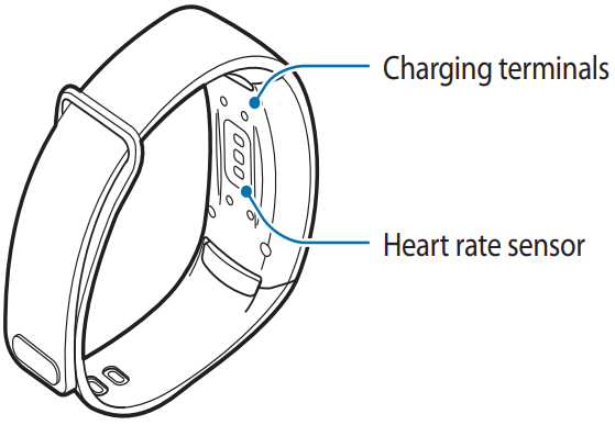 Diagram detailing the charing terminals on back of the watchface