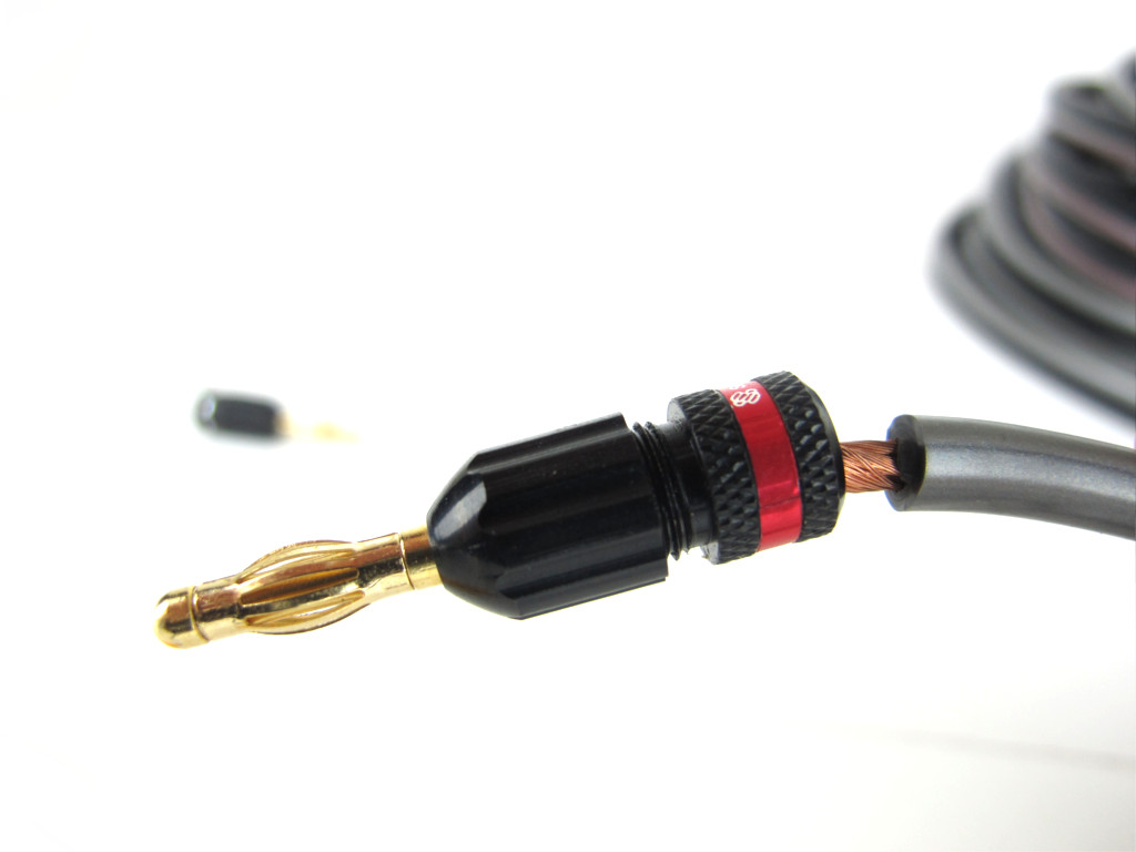 A speaker wire connection