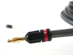 A speaker wire connection
