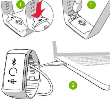 Polar device connected to computer. Diagram.
