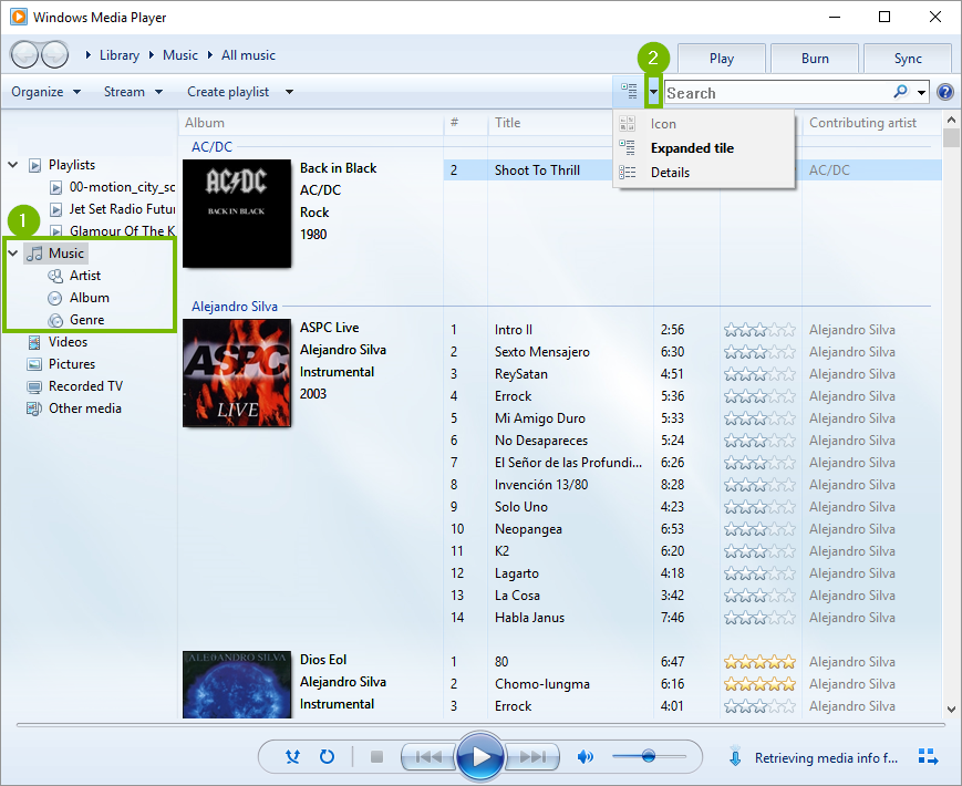 Windows media player browse music library options.