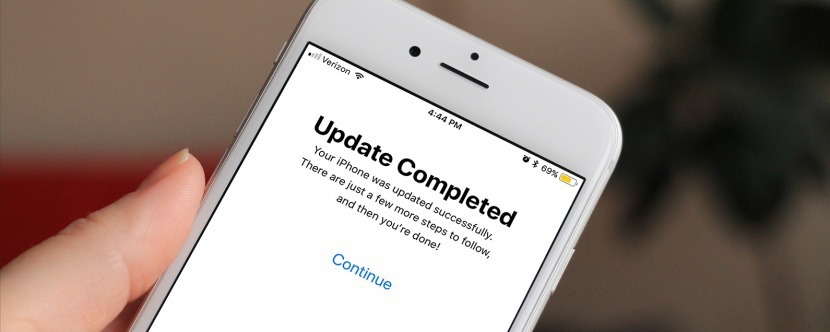 iPhone displaying a successful update screen.