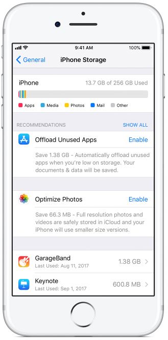 iPhone Storage screen.