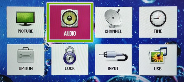 Audio option highlighted in TV settings.