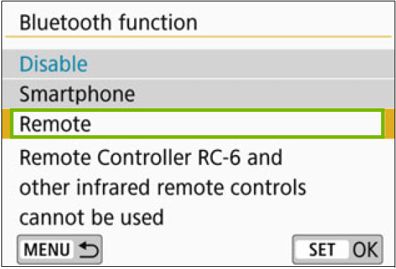 Bluetooth function menu with Remote highlighted