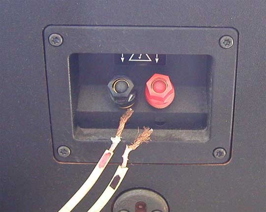 Speaker wire in poor condition being removed from speaker terminals. Illustration.