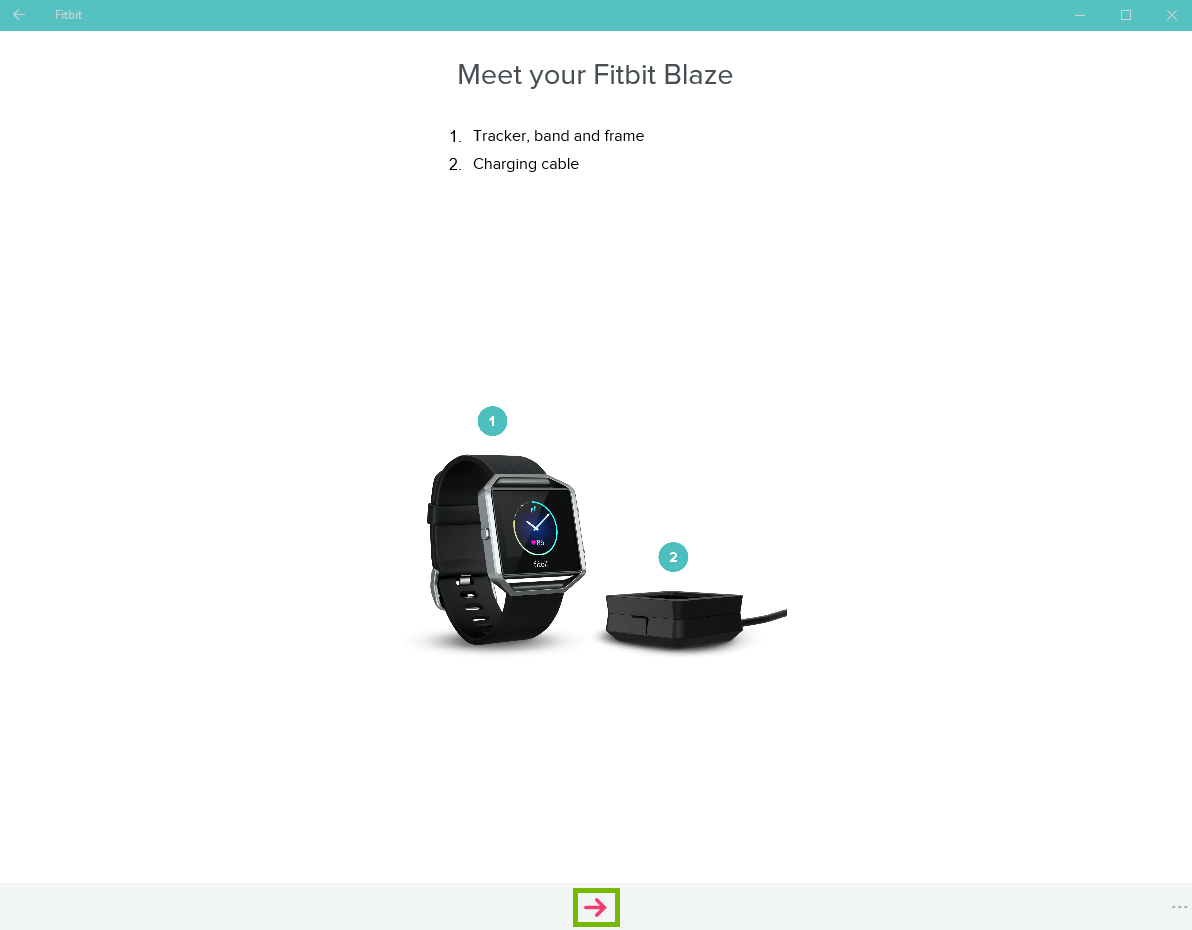 Meet your fitbit introduction screen