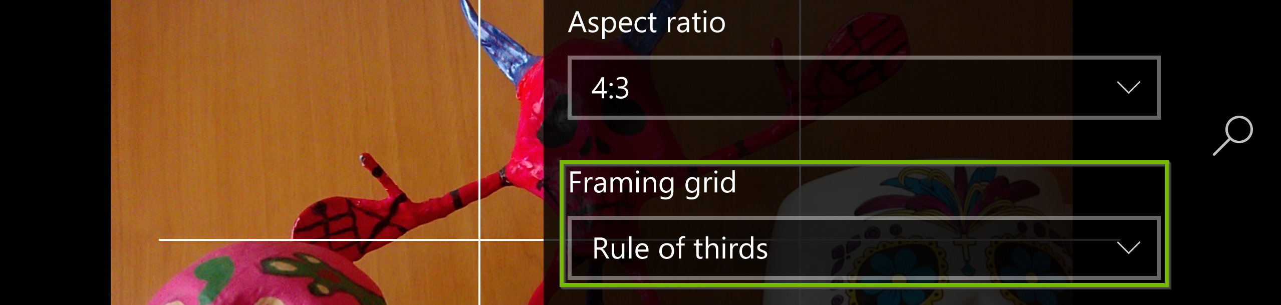 Framing grid settings. Screenshot.